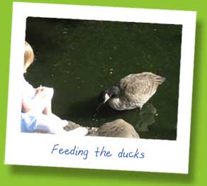 Feeding the ducks